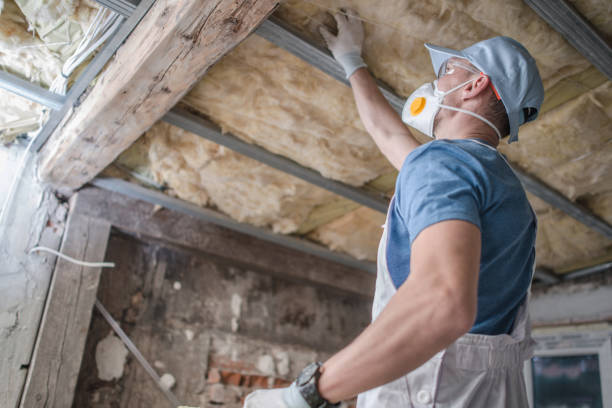 Best Insulation Installation Services in Ennis, TX