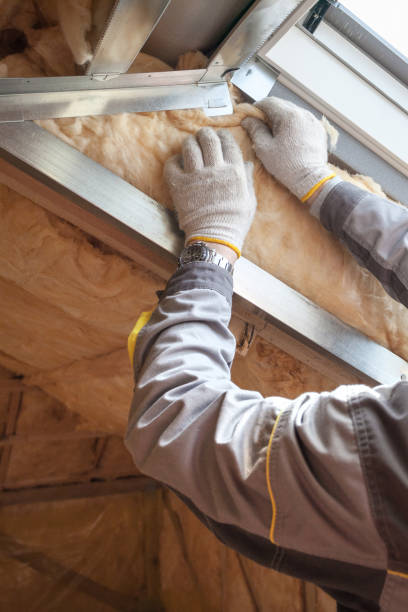 Best Residential Insulation in Ennis, TX